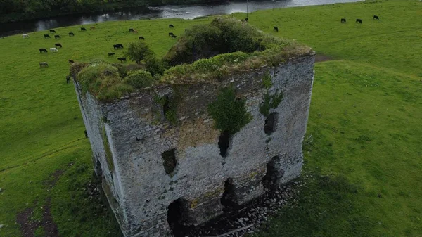 Вид Воздуха Старый Замок Греннан Зеленом Поле Томастауне Килкенни Ирландия — стоковое фото