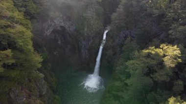 Patagonya 'da ağaçlarla çevrili bir şelalenin yükselen hava manzarası