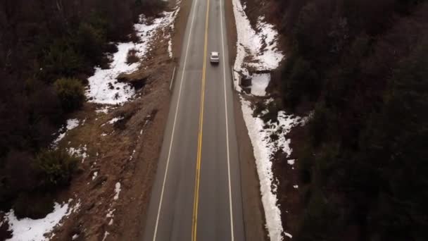 Uma Antena Ascendente Carro Dirigindo Uma Estrada Floresta Patagônia — Vídeo de Stock