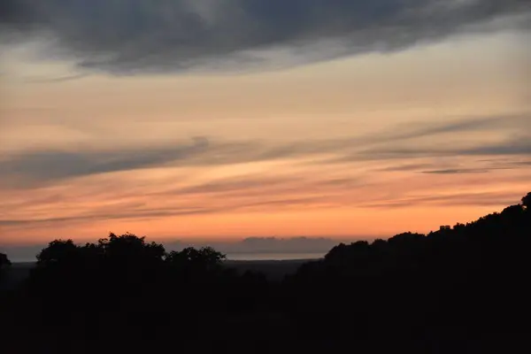 Schöne Aufnahme Eines Waldes Mit Orangefarbener Sonne Wolkenverhangenen Himmel — Stockfoto