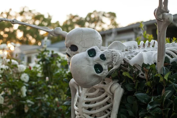 ハロウィーンの庭で骨格のクローズアップショット — ストック写真