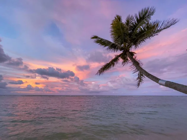 Die Palme Vor Der Wunderschönen Meereslandschaft Bei Sonnenuntergang — Stockfoto