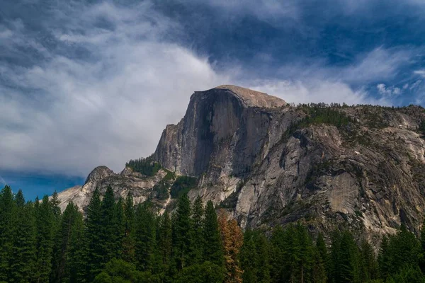 Vue Forêt Verte Sur Fond Half Dome Parc National Yosemite — Photo