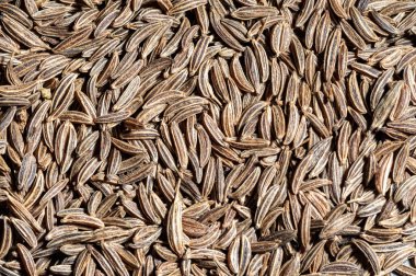 Aşçılık, aşçılık ve tarım geçmişi için bir yığın kimyon tohumu.