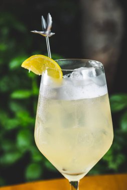 Bulanık bir arka planda buzlu ve limonlu alkollü bir içeceğin dikey çekimi.