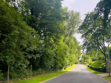 Brüksel 'de ormanın ortasındaki dar yol
