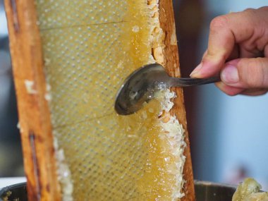 Doğal çiğ bal arılarımızı filtrelemek için süzgeçten damlayan bir reklam..