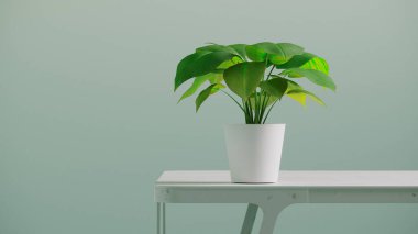 Masada bir bitki bulunan minimalist bir arkaplanın 3B görüntülemesi