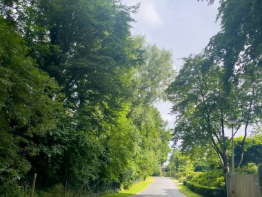 Brüksel 'de ormanın ortasındaki dar yol