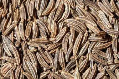 Aşçılık, aşçılık ve tarım geçmişi için bir yığın kimyon tohumu.