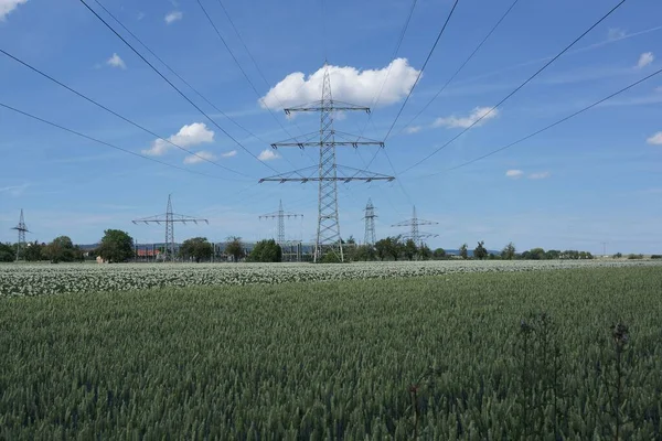 青い夏の空に対して開花ジャガイモ畑 高電圧パイロン 変電所と小麦畑と農業風景 雲のある送電線 — ストック写真