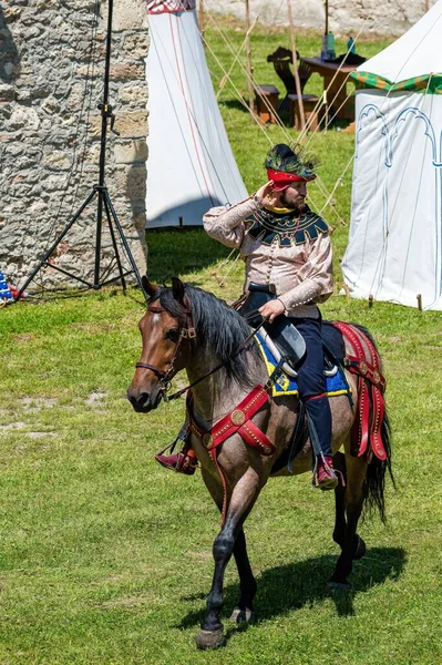 Holic Σλοβακία Ιουνίου 2022 Wywar Castle Fest Διαδηλώσεις Ιπποτικών Αγώνων — Φωτογραφία Αρχείου