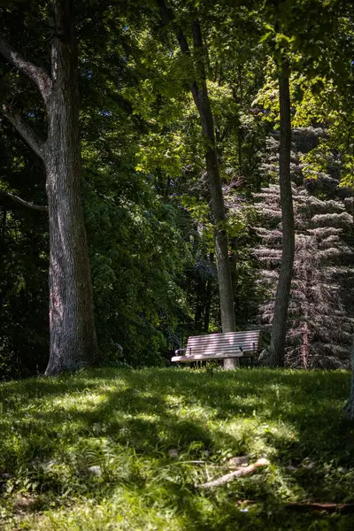 公园里一条被绿色植被环绕的空荡荡的长椅的垂直镜头 — 图库照片