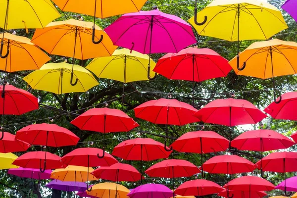 カラフルな傘で飾られた通り アラメダ マウリシオ ナッソーに位置 Holambra Spで カラフルな傘のランナー — ストック写真