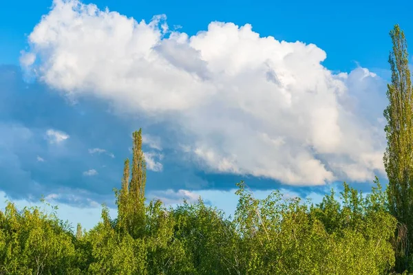 Γαλάκτωμα Λευκό Αφράτο Βαρύ Πυκνό Σύννεφο Επιπλέει Πάνω Από Τις — Φωτογραφία Αρχείου