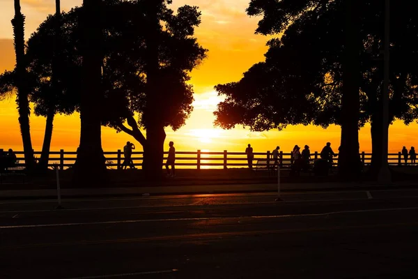 Uma Silhueta Árvores Costa Pessoas Belo Pôr Sol — Fotografia de Stock