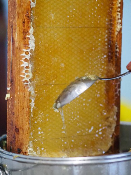 Natural raw honey being filtered ad dripped through a strainer to filter our bees wax.