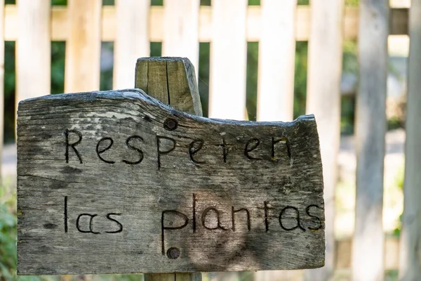 Respektera Växternas Tecken Spanska Snidade Trä — Stockfoto