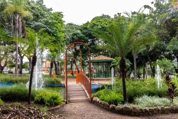 Holambra Sao Paulo Brezilya Mart 2022 Praca Dos Coqueiros Coconut — Stok fotoğraf