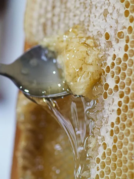 Natural Raw Honey Being Filtered Dripped Strainer Filter Our Bees — Foto Stock