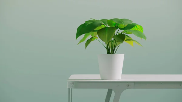 Uma Renderização Fundo Minimalista Com Uma Planta Uma Mesa — Fotografia de Stock