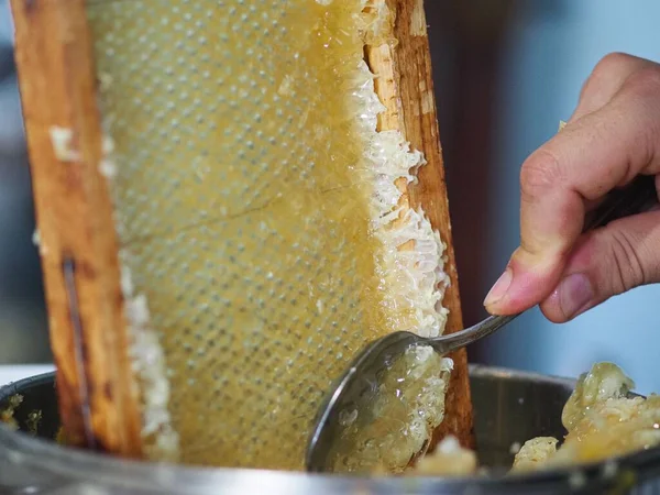 Natural Raw Honey Being Filtered Dripped Strainer Filter Our Bees — 图库照片