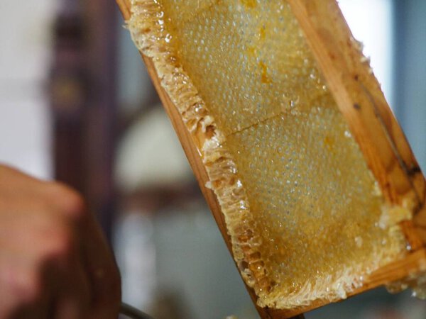 Natural raw honey being filtered ad dripped through a strainer to filter our bees wax.