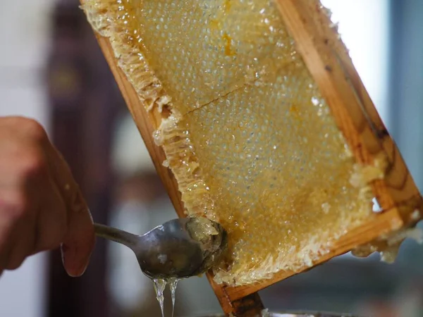 Natural Raw Honey Being Filtered Dripped Strainer Filter Our Bees — Stok fotoğraf