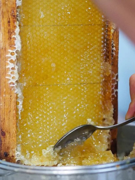 Natural Raw Honey Being Filtered Dripped Strainer Filter Our Bees — Stockfoto