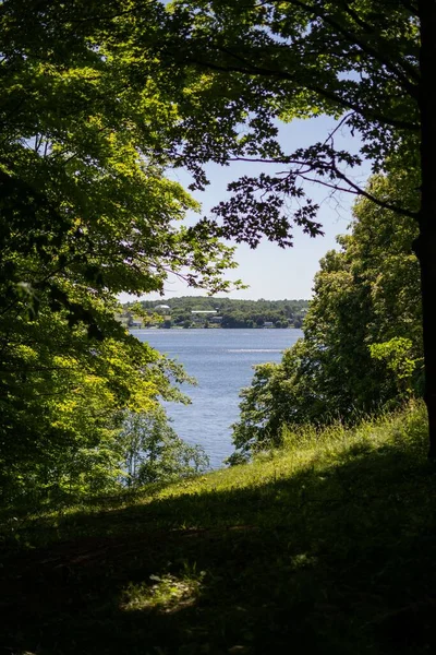 Vertikální Záběr Zelených Stromů Pozadí Jezera Kanada — Stock fotografie