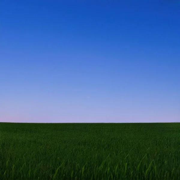 Extenso Prado Verde Bajo Cielo Del Atardecer — Foto de Stock