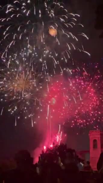 Uma Vista Vertical Virada Show Fogos Artifício Coloridos Céu Noturno — Vídeo de Stock