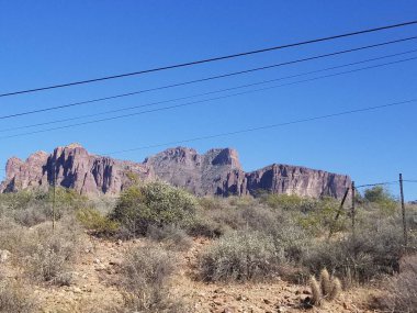 Güneşli bir günde arka planda farklı bitki ve kayaların düşük açılı çekimi