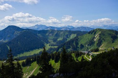 Dağların önündeki Baverya Ormanı