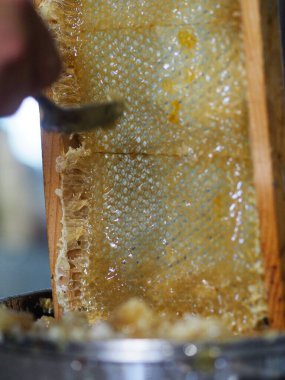 Doğal çiğ bal arılarımızı filtrelemek için süzgeçten damlayan bir reklam..