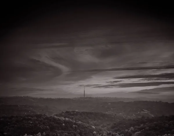 Una Vista Aérea Bosques Densos Día Sombrío Sobre Fondo Oscuro — Foto de Stock