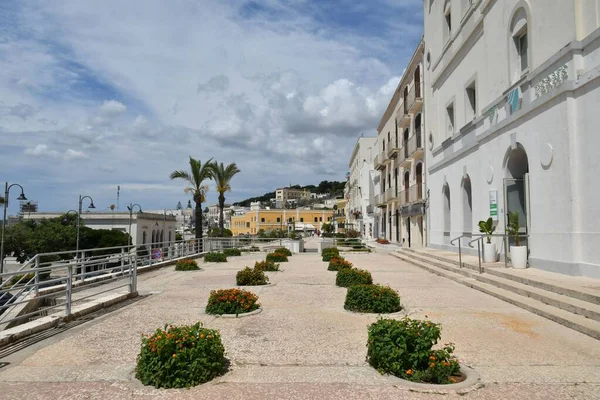 Avenue Street Santa Cesarea Terme Apulian Village Province Lecce Italy — Stockfoto