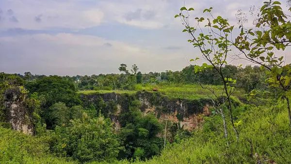 Вид Скалу Джунглях — стоковое фото