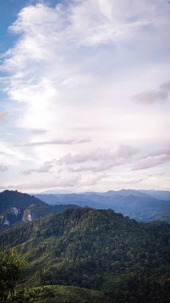 Eine Vertikale Aufnahme Von Bergwaldgipfeln Unter Einem Bewölkten Himmel — Stockfoto