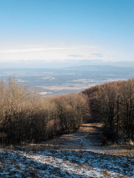 天気の良い日に丘の上の雪の道の垂直ショット — ストック写真