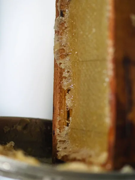 Natural Raw Honey Being Filtered Dripped Strainer Filter Our Bees — Stock Fotó