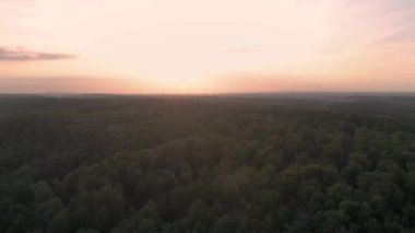 Gün batımında bir ormandan insansız hava aracı vuruldu.