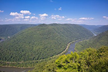 Aralarında kıvrımlı bir nehir olan geniş bir orman.