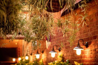 Tuğla bir duvarda bitkilerle aydınlatılmış lambalar.
