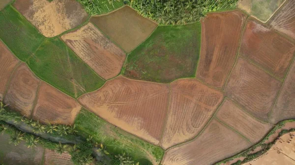 Una Hermosa Vista Los Campos Verdes Marrones Diferentes Formas Rodeados — Foto de Stock