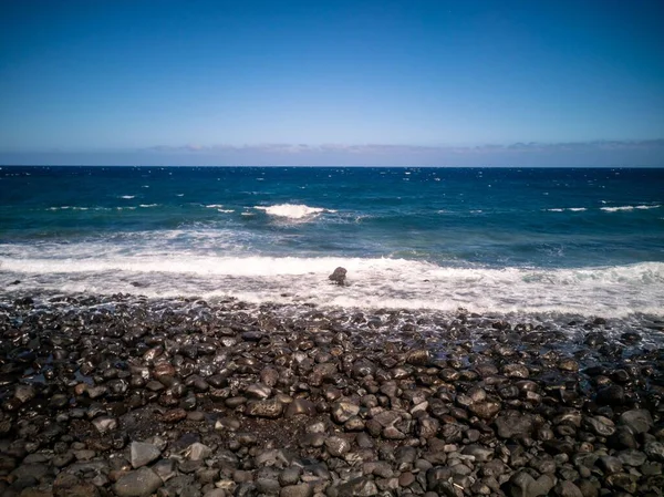 Scenic View Rocky Viuda Beach Blue Sea Waves Tenerife — Stock Photo, Image