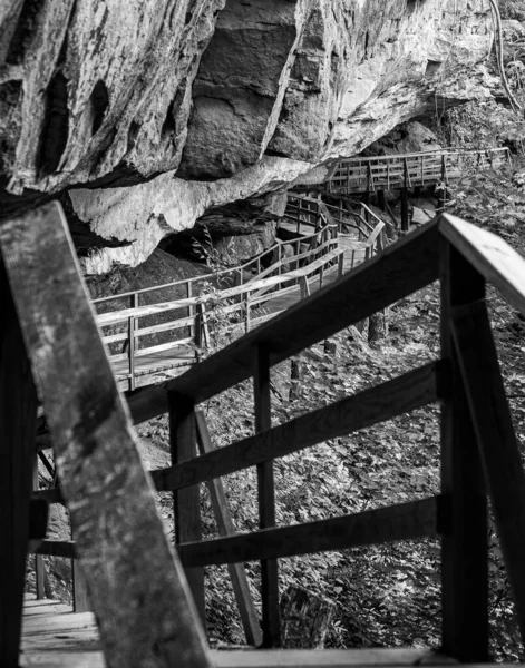 Ahşap Bir Merdiven Mağaranın Altındaki Çit — Stok fotoğraf