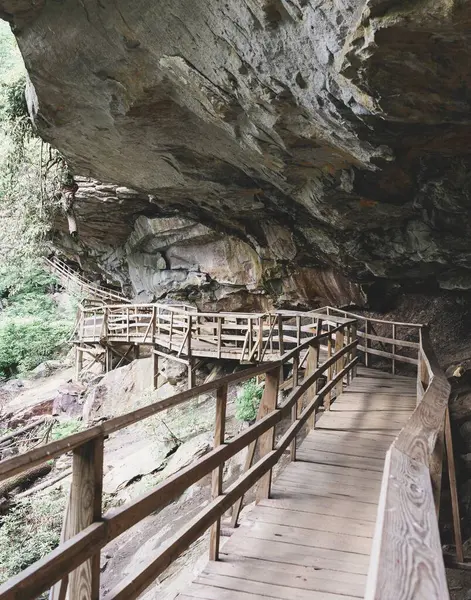 Wooden Stairs Fence Cave — Stock Photo, Image