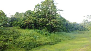 Yoğun ormanlarla çevrili dar bir arazinin güzel bir görüntüsü.