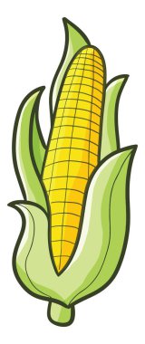 Beyaz arka planı olan bir mısırın vektörü